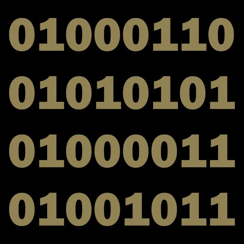 Binär Code Fuck