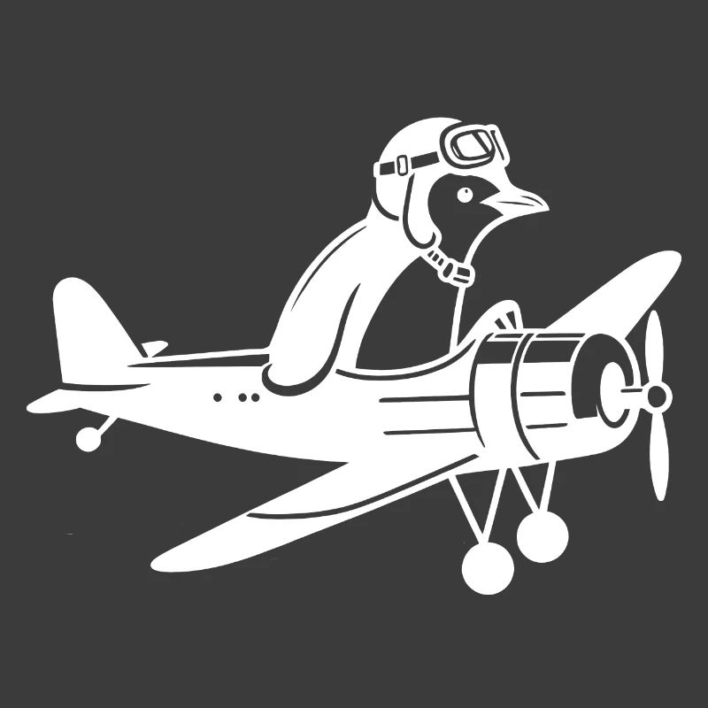 Licence de vol d’avion Penguin Pilot