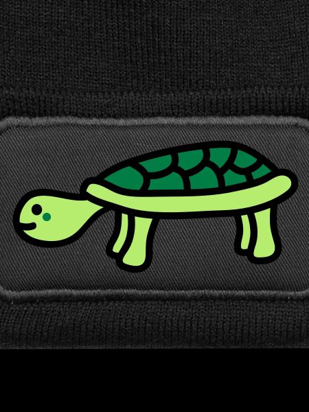 turtle