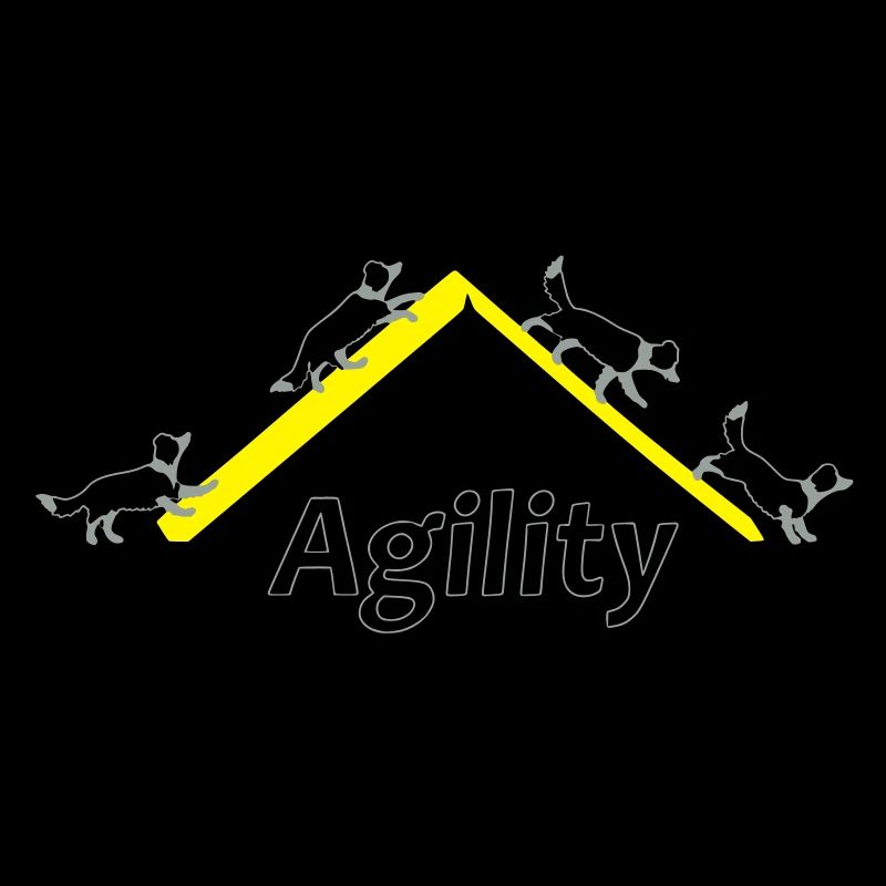 Agility 4x Border Collie