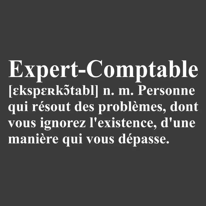 Expert-Comptable Définition