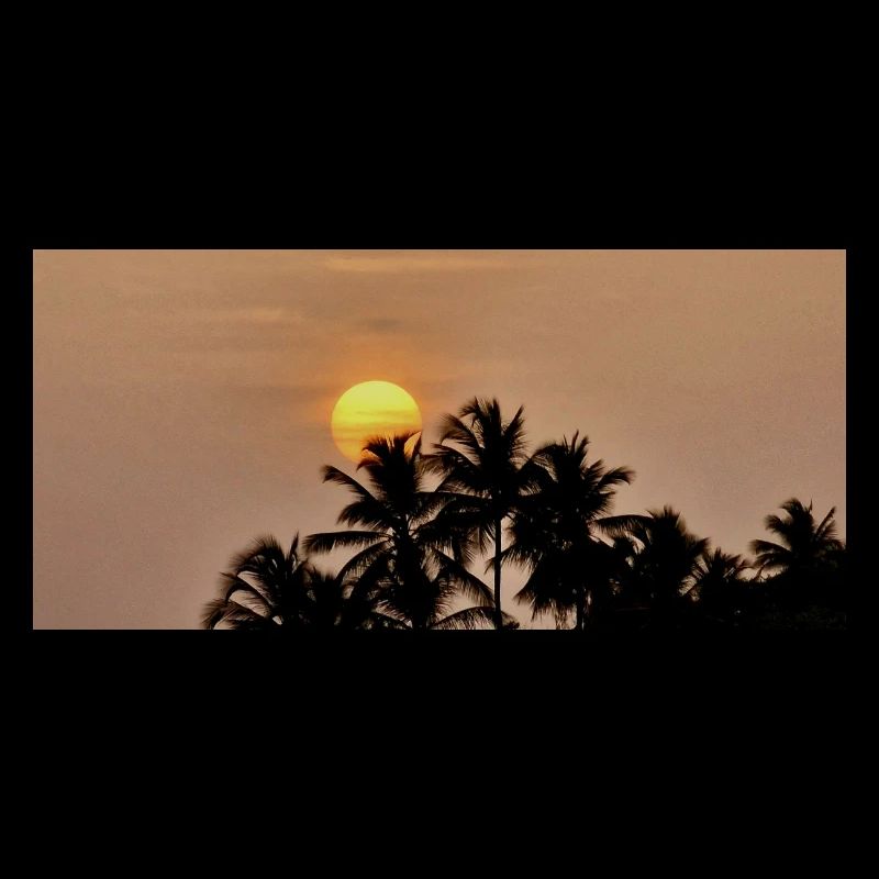 Silhouette Palm Trees au Coucher de Soleil