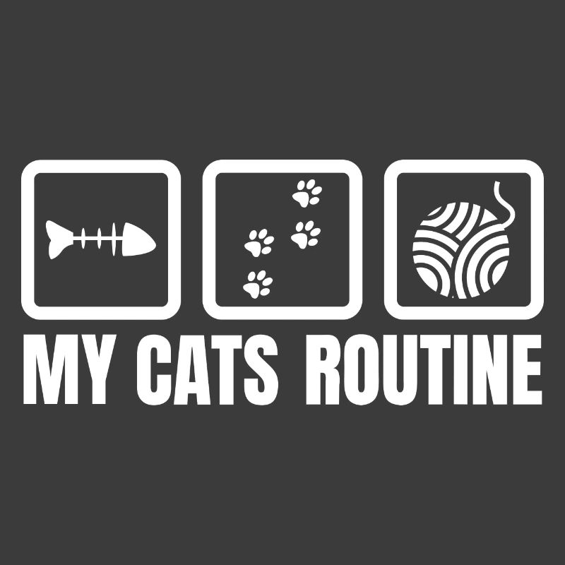 La routine de mon chat