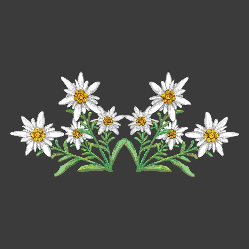 Edelweiss 