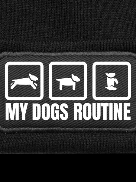 My Dogs Routine