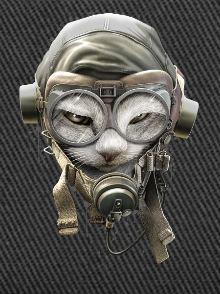 PILOTCAT (Splashes)