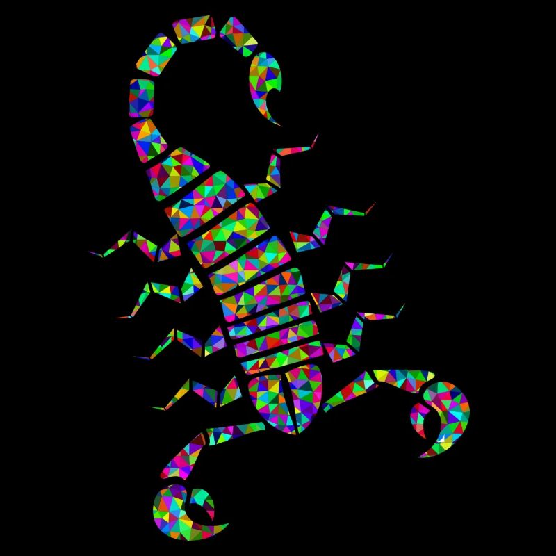 skorp 7