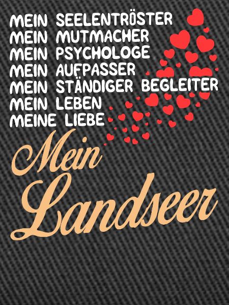 Landseer - Mein