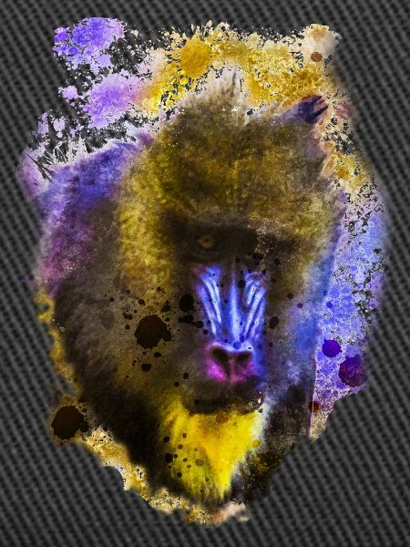 Mandrill