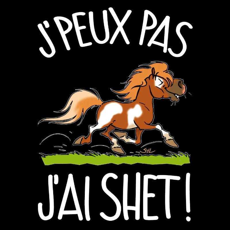 J'peux pas j'ai shet! (pie alezan, t blanc)