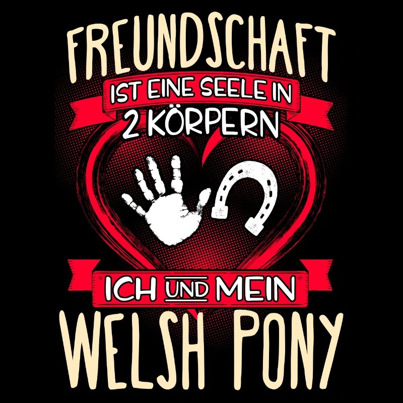 WELSH-PONY - 3