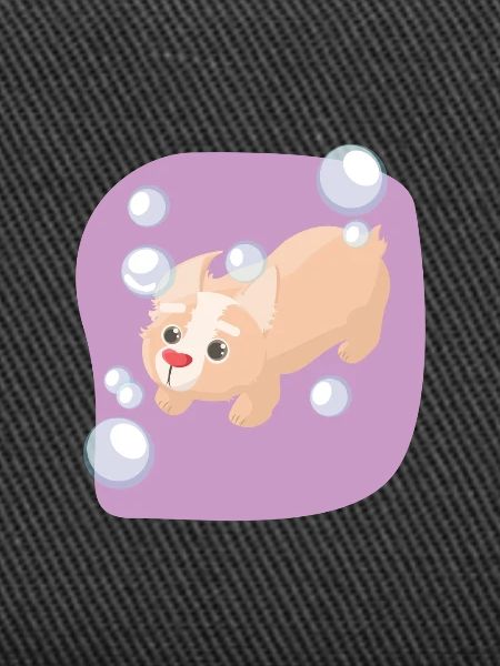 Soap bubbles dog