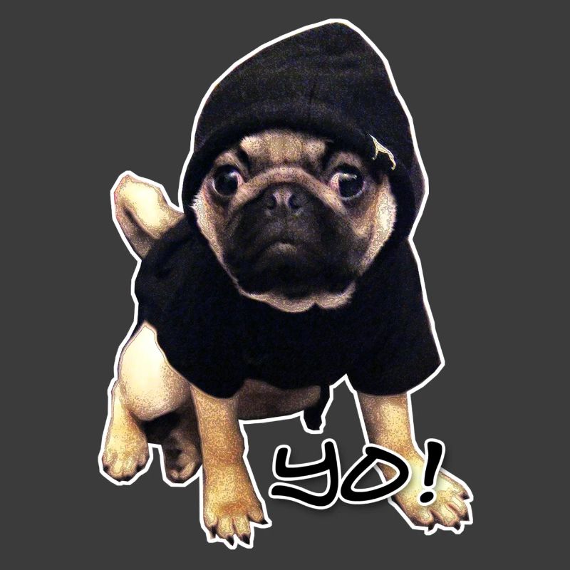 yo_mops_3