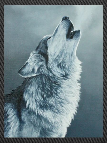 Loup gris