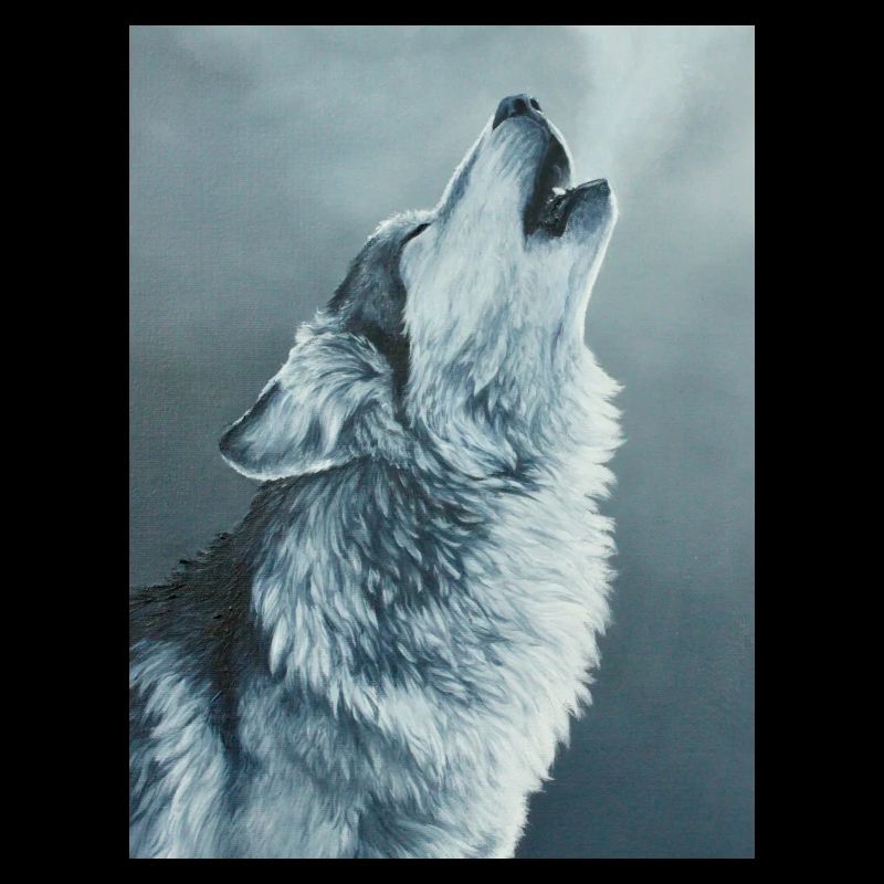 Loup gris