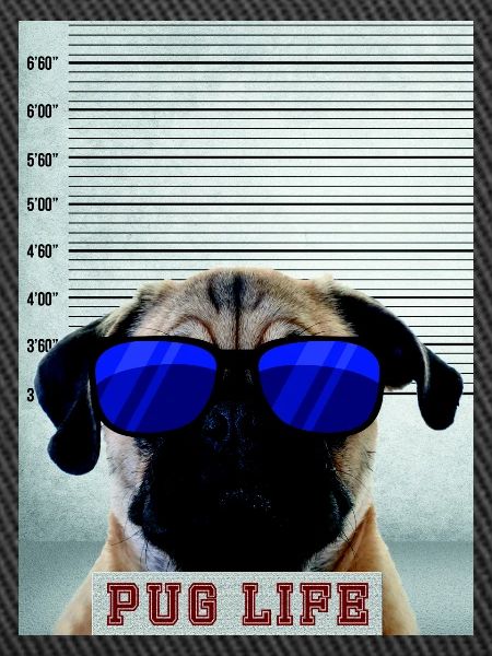 pug is life