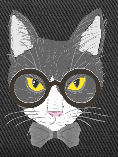 cat face