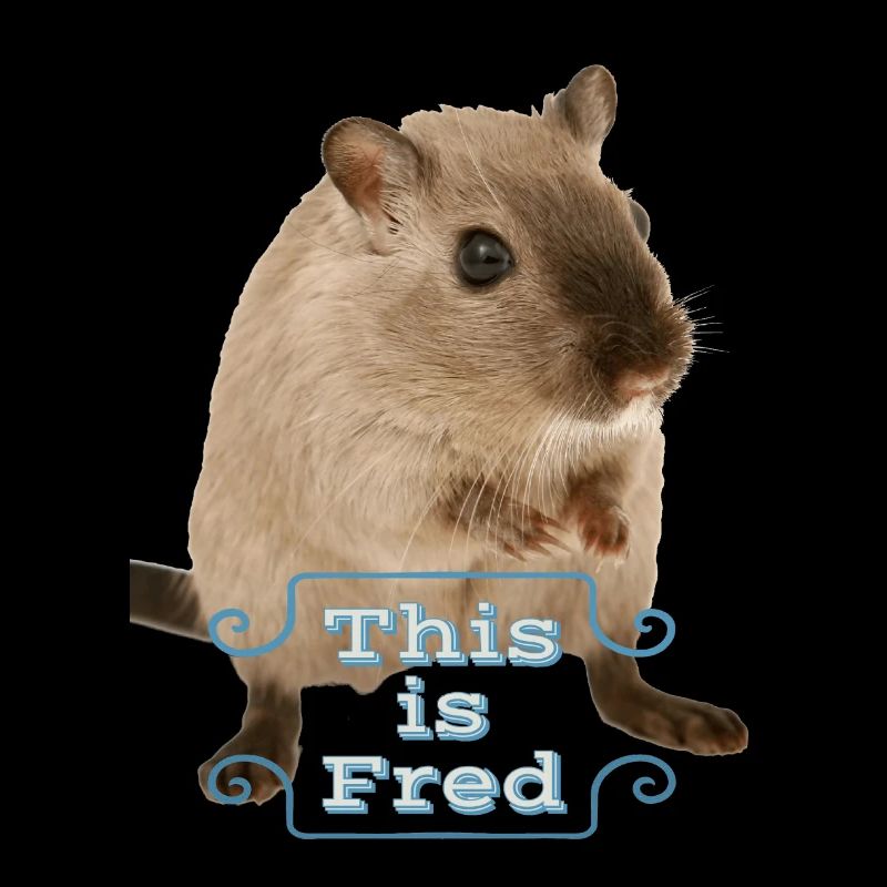 This is fred funny sweet mouse gift idea