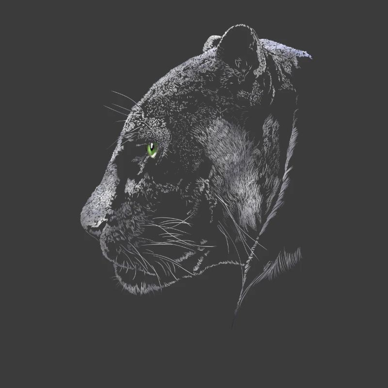 Panther
