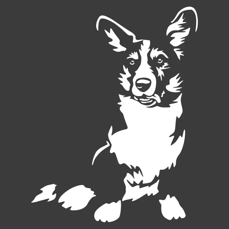 Welsh Corgi "Black Edition"