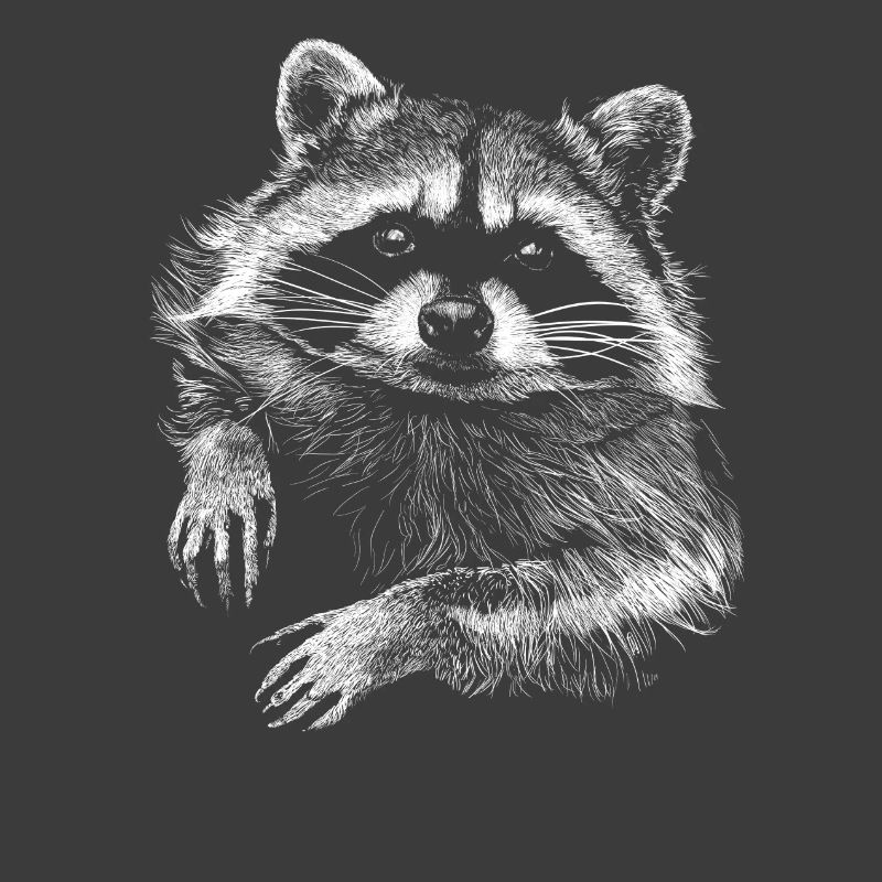 Waschbär