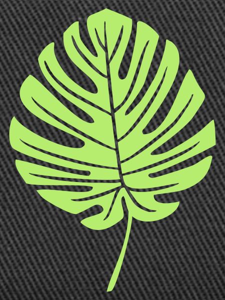 Green Monstera Leaf