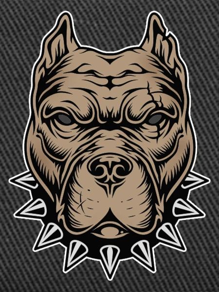 Aggressive dog