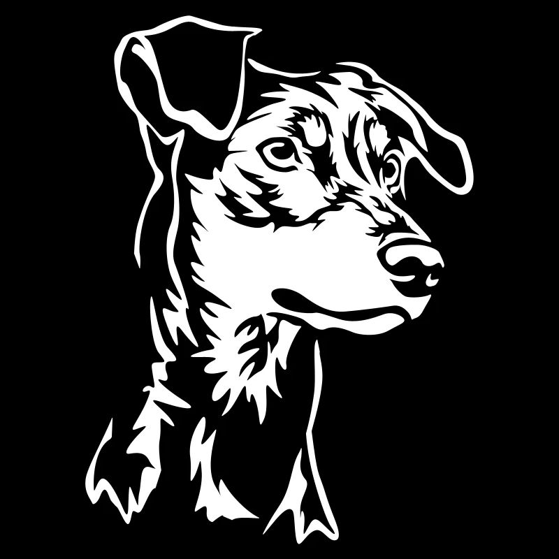 German Pinscher head "Black Edition"