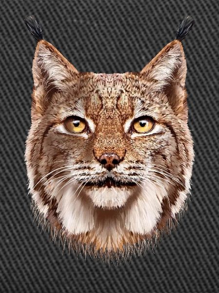 Lynx