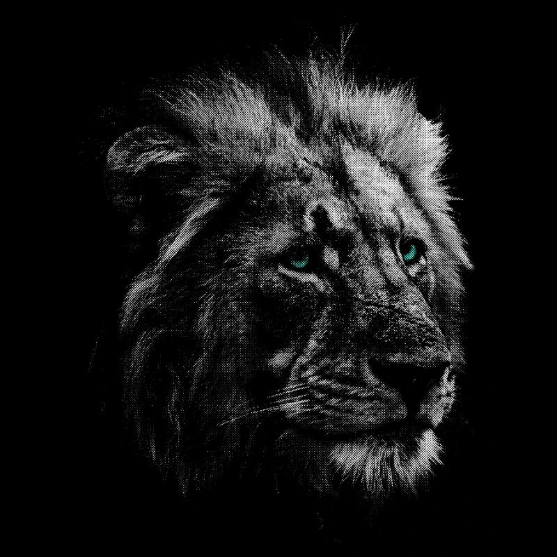 Tête de lion
