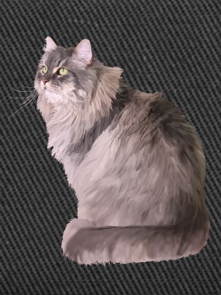 Katze