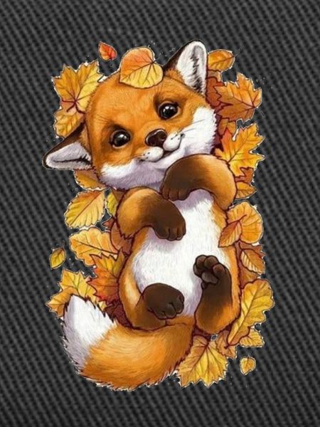 Cute baby fox