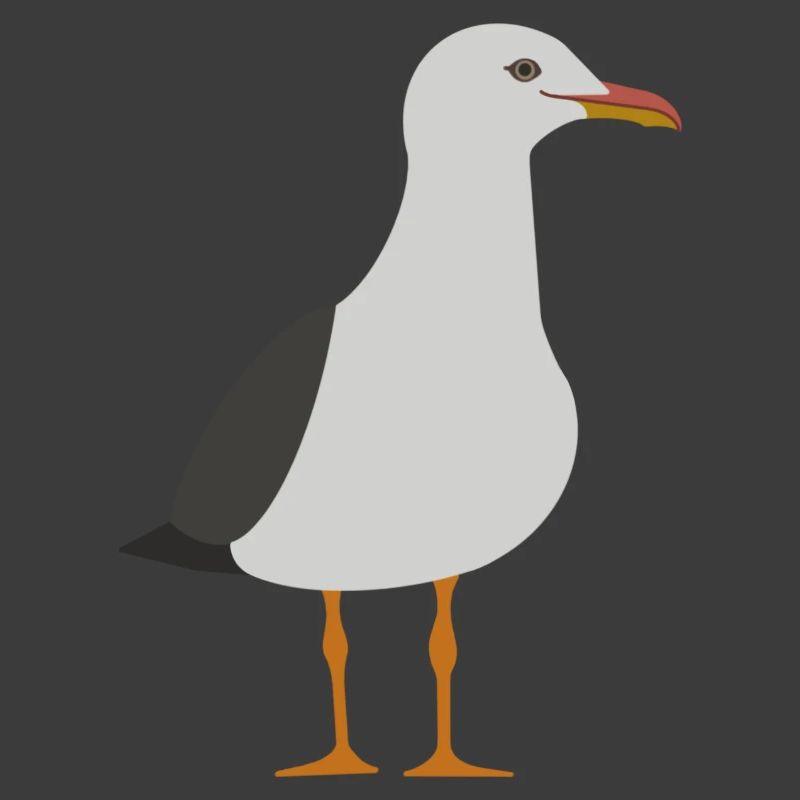 Möwe