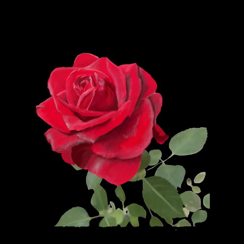 Rose rouge