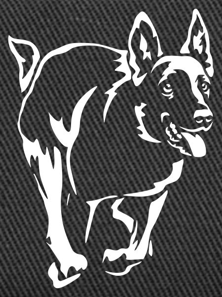 Malinois « Black Edition »