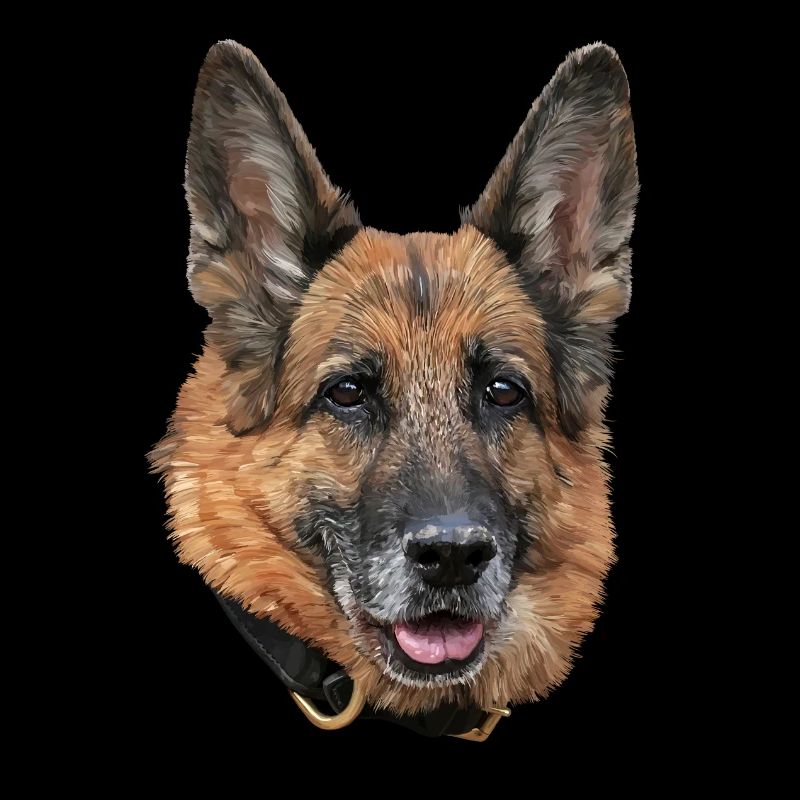 Chien de berger