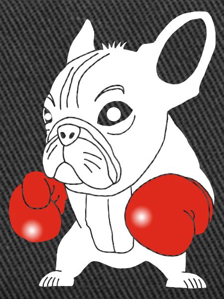 White dog boxer