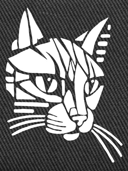 Chat tribal blanc