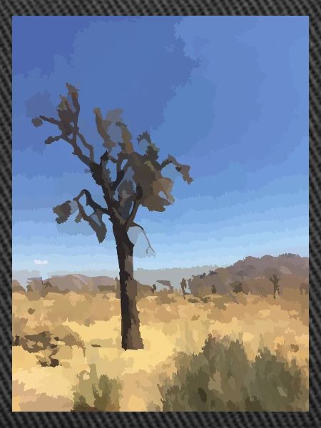 Joshua Tree