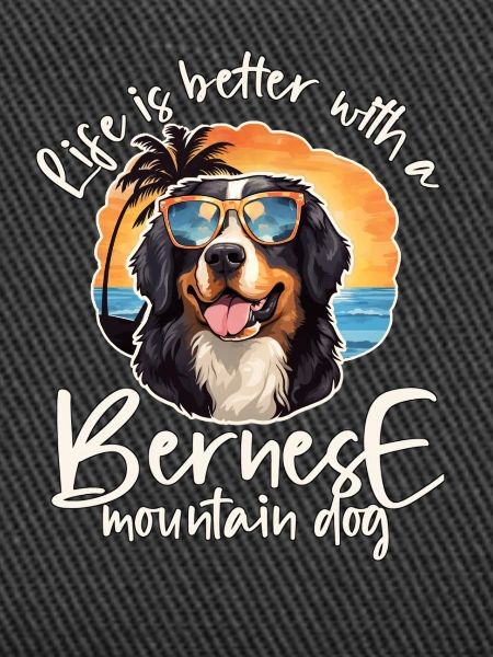 Bouvier bernois