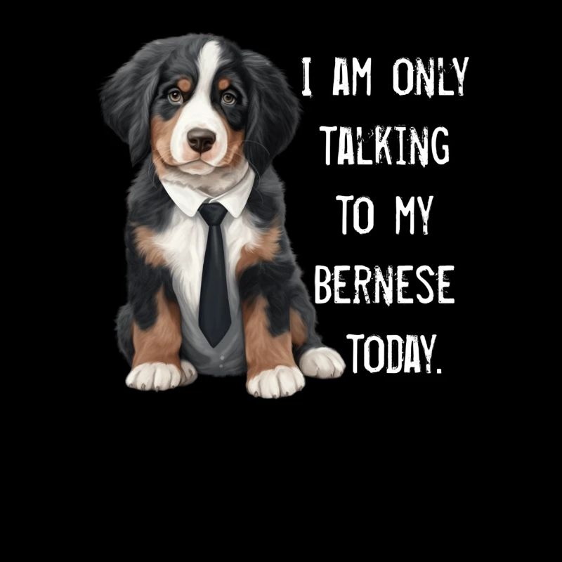 Bouvier bernois