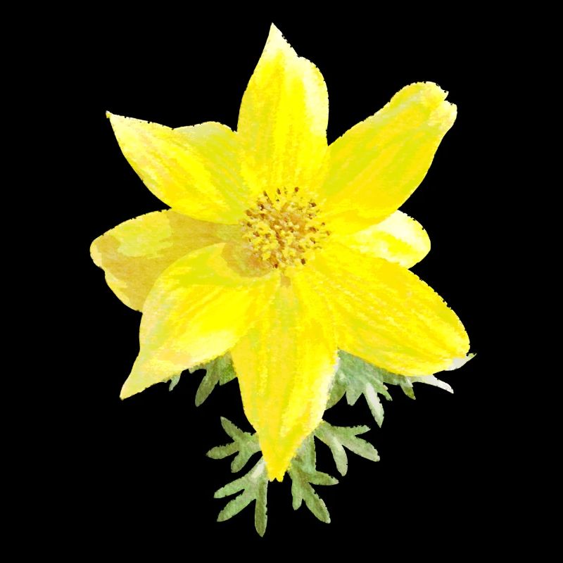 Fleurs jaunes Aquarelle