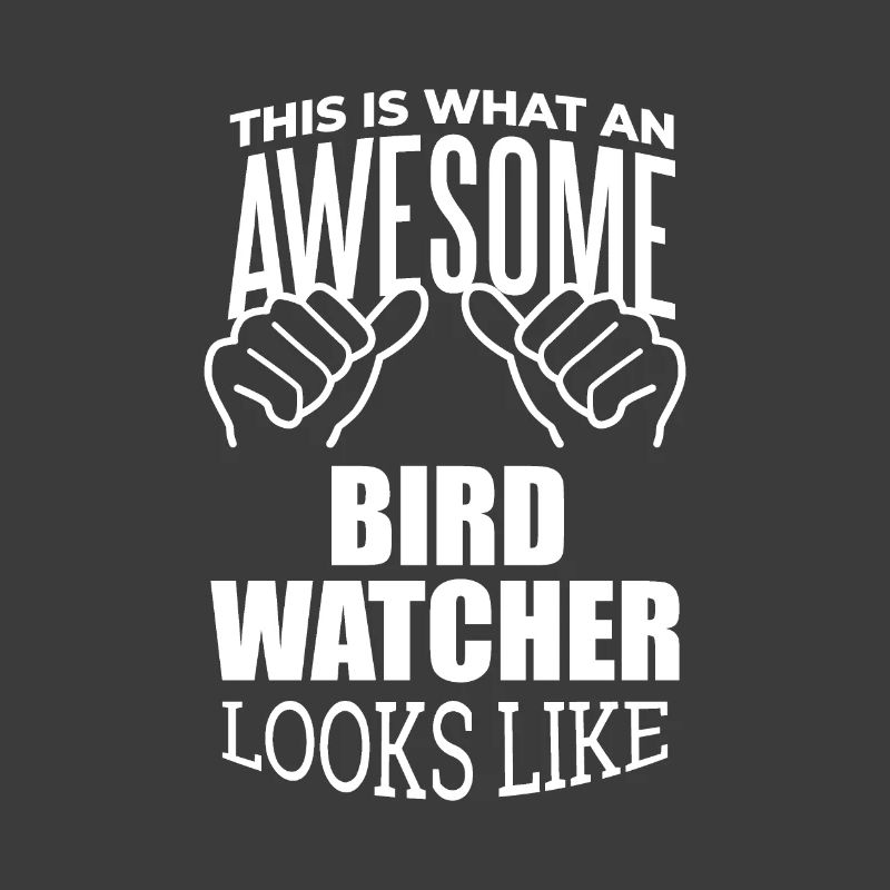 Observation des oiseaux
