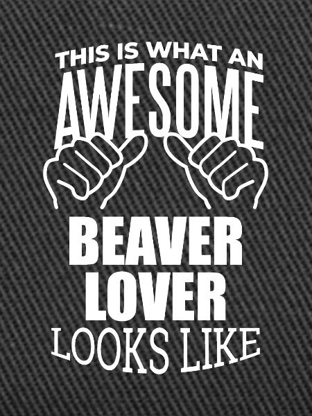 Beaver Beaver Beaver