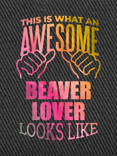 Beaver Beaver Beaver
