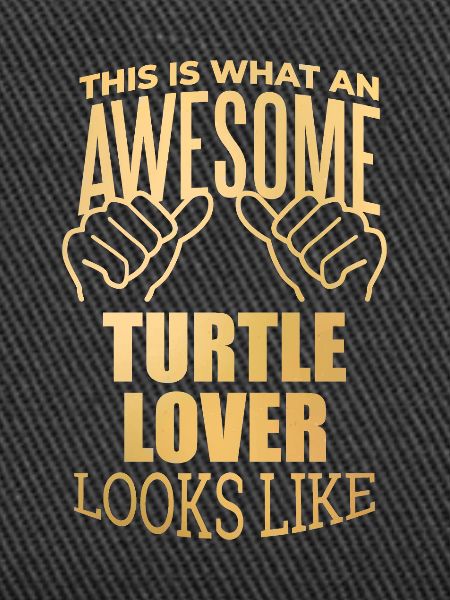 Turtle Turtle Turtle