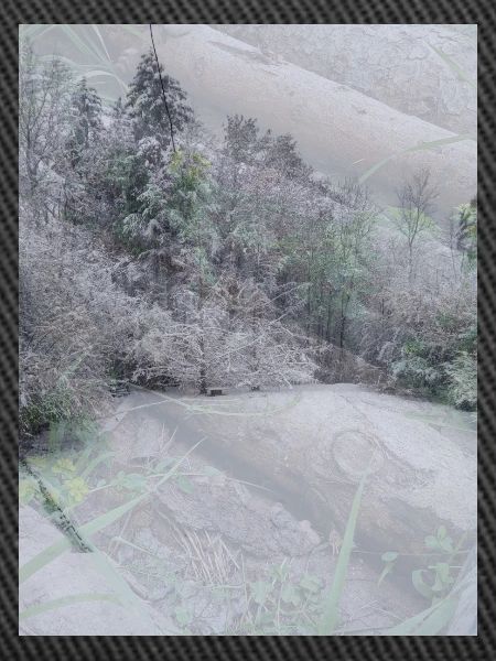 Snow Landscape with Treetrunks