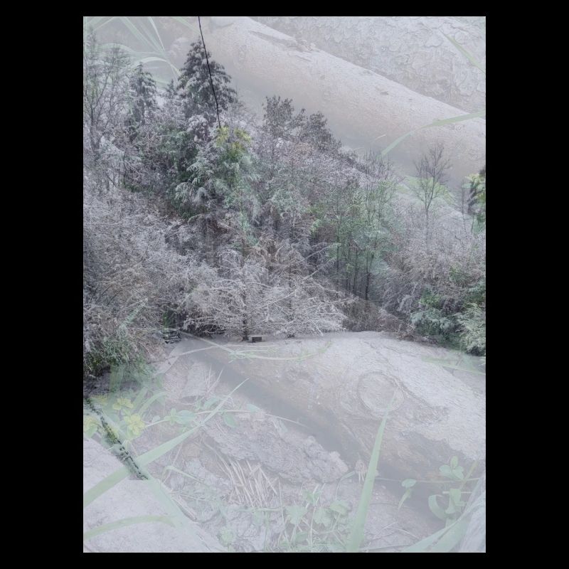 Schnee Landschaft auf Baumstämmen
