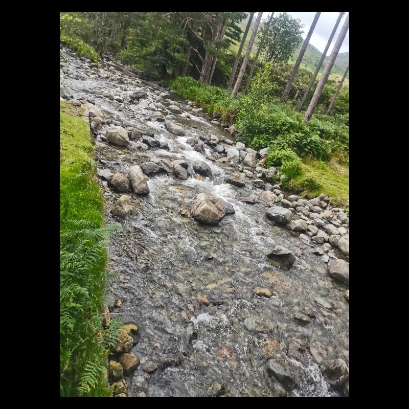 Rocky stream