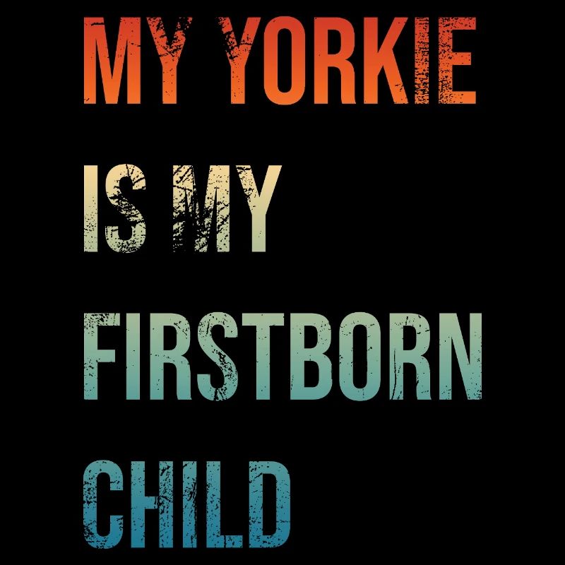 Yorkie Premier-né